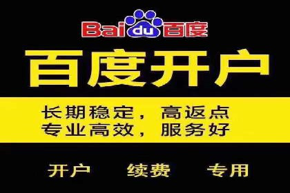 百度竞价推广的成功案例：企业如何快速提升品牌知名度
